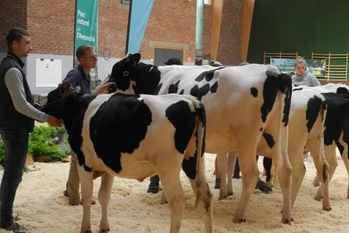 Le monde agricole en vitrine avec la Fête du lait à Le Quesnoy