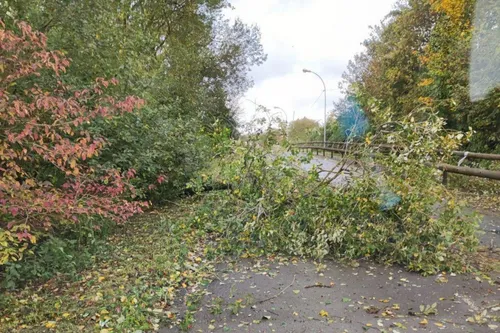 Tempête Ciaran - Des dégâts en Sambre-Avesnois Thiérache