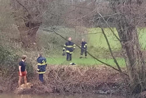 Rousies - Il saute dans la Sambre pour sauver un chien en difficulté