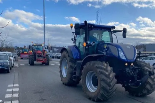 Ils sont allés voir les prix du lait dans les rayons