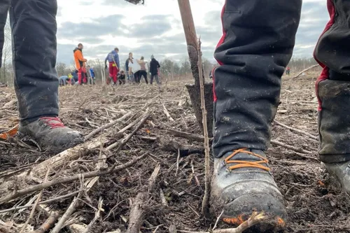 Plus de 6000 plants mis en terre en Forêt de Mormal