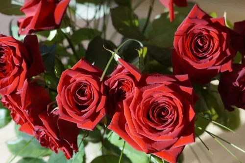 La Saint Valentin chez les fleuristes, on vous met au parfum !