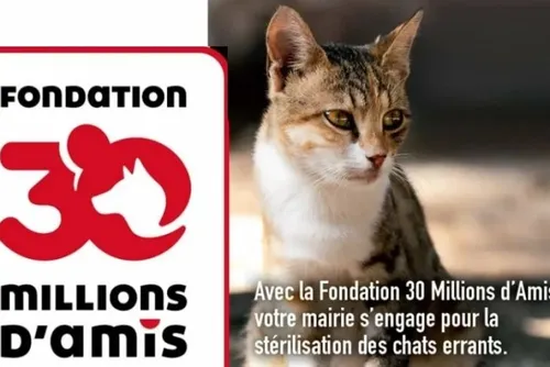 L'actu en bref du jeudi 29 février 2024 dans le Cœur de l’Avesnois...