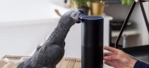 Un colis inattendu arrive à la maison…