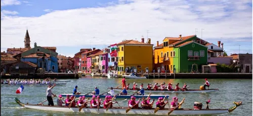 En rose avec les Dragon Ladies 08