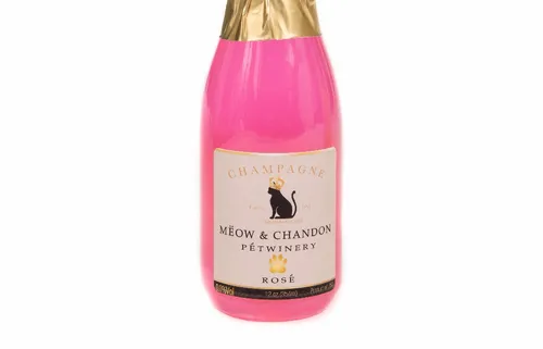 Chat vous dit de prendre un verre?