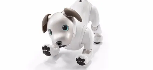 Aibo votre nouvel animal de compagnie