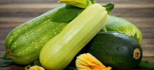 Quand la musique sauve un agriculteur