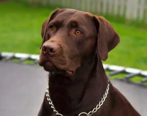 La vidéo qui va vous donner le sourire