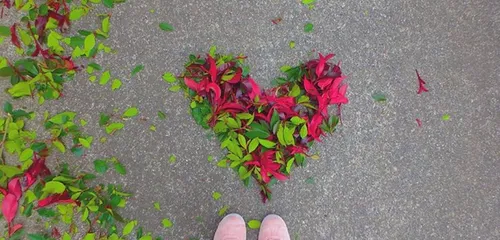 Japon: quand les feuilles décorent les rues
