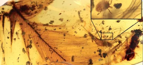 Et si on ouvrait un vrai Jurassic Park?