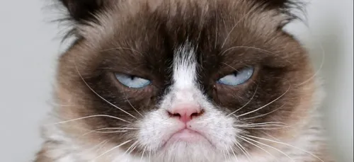 Le 28 Février, c'est la journée mondiale des...râleurs