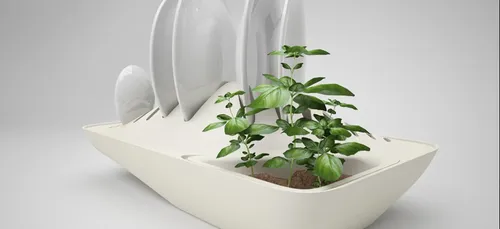 Faire pousser une plante en faisant la vaisselle?
