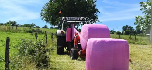 Cancer du sein : Les agriculteurs s’engagent