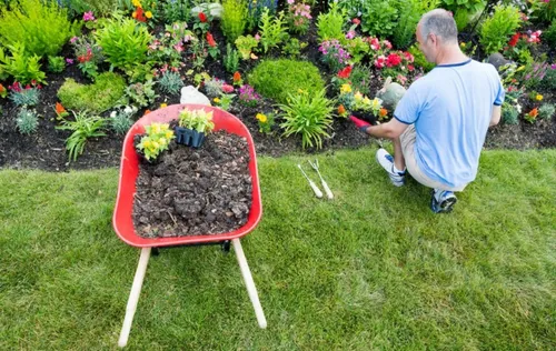Offre d'emploi, chef d'équipe paysagiste