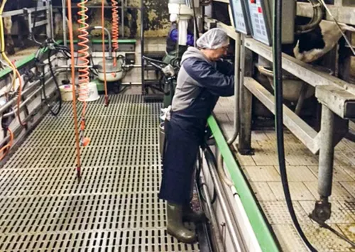 Poste d'agent de traite