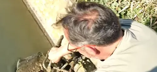 Montpellier: Il pêche un coffre-fort rempli de pièces et de bijoux...