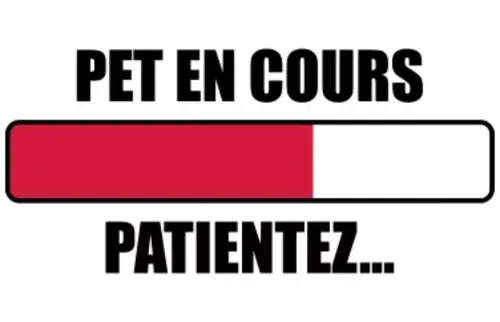 Liège s'apprête à accueillir le premier championnat mondial de pets