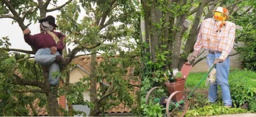 Les épouvantails vont envahir Sarry