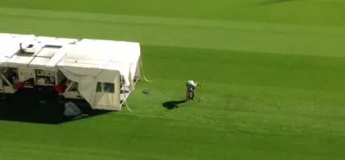 La pelouse de Delaune au top