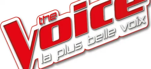 Candidatures lancées pour le casting The Voice, saison 8 !