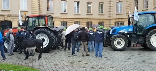 Metz : Les agriculteurs inquiets pour leur profession