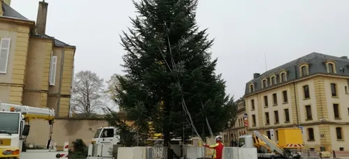 Le sapin de Noël est arrivé à Metz