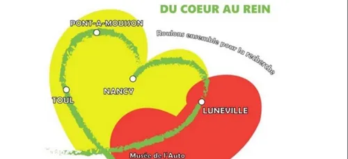 Des voitures de collection au Circuit du Cœur au Rein