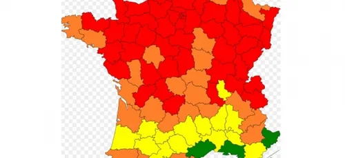 Alerte aux pollens en Lorraine