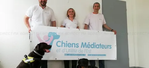 A la rencontre des chiens médiateurs de l'Est !