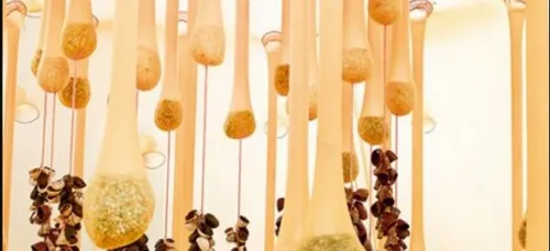 Le Centre Pompidou Metz expose sur le thème des jardins !