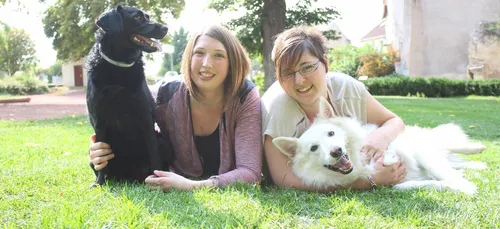 Une crèche pour chiens a ouvert en Lorraine