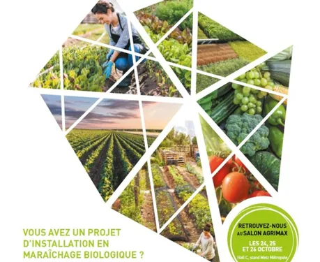 Appel à candidature : Metz-Métropole recherche des maraîchers bio