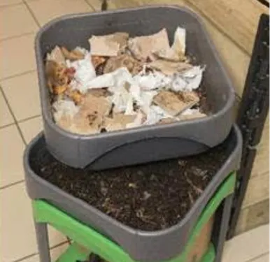 Et si il était l'heure de se mettre au lombricompostage?