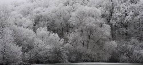 Météo: La neige revient ce soir en Lorraine.