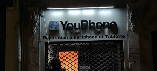 Nancy : 55 personnes éteignent des enseignes pour alerter sur la...