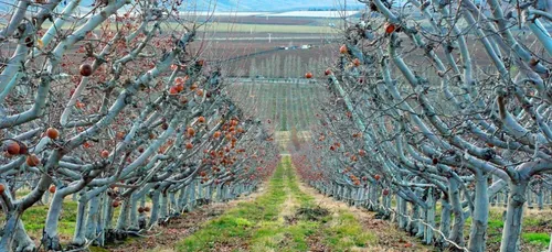 Bon plan : 350 emplois saisonniers à pourvoir Meurthe-et-Moselle