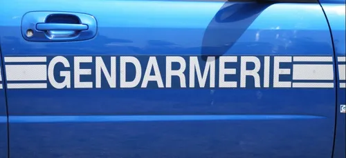 Lorraine :  la gendarmerie a une méthode originale pour lutter...