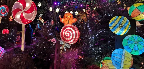 Metz : Le Sentier des Lanterne vous attend toujours