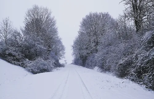 Météo : la Lorraine en vigilance orange neige et verglas
