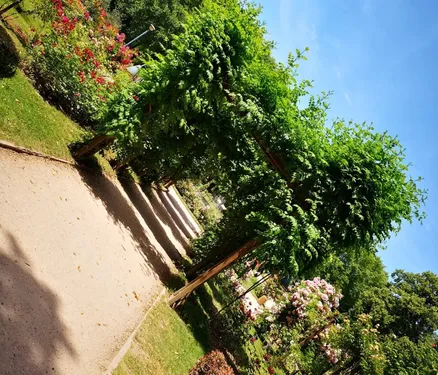 Coronavirus: Nancy ferme ses parcs