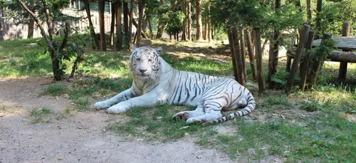 Le Zoo d'Amnéville change de direction