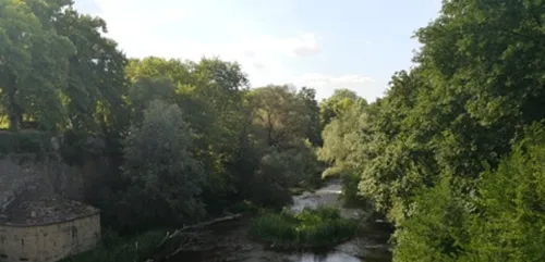 Pollen: la Lorraine est dans le rouge
