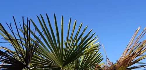 Météo: premier pic de chaleur en lorraine