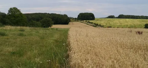 La Meurthe-et-Moselle en alerte sécheresse renforcée