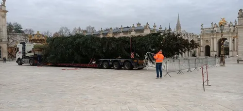 Nancy: le sapin de la place Stanislas est là!