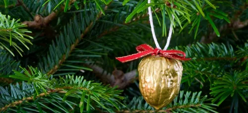 Les marchés aux sapins de Noël arrivent à Metz