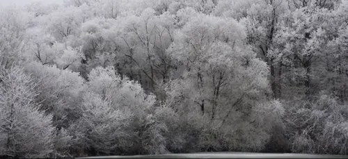 Neige en lorraine: plusieurs départements en vigilance jaune cette...