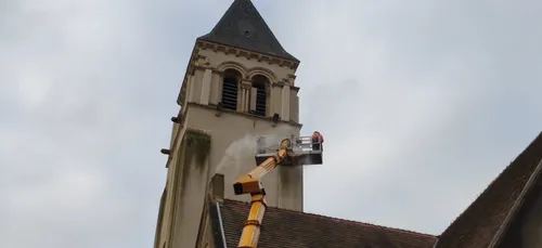 Metz : un nouveau nichoir pour les faucons pèlerins
