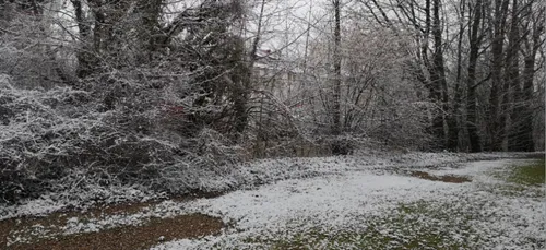 Météo: retour du froid et de la neige cette semaine en lorraine